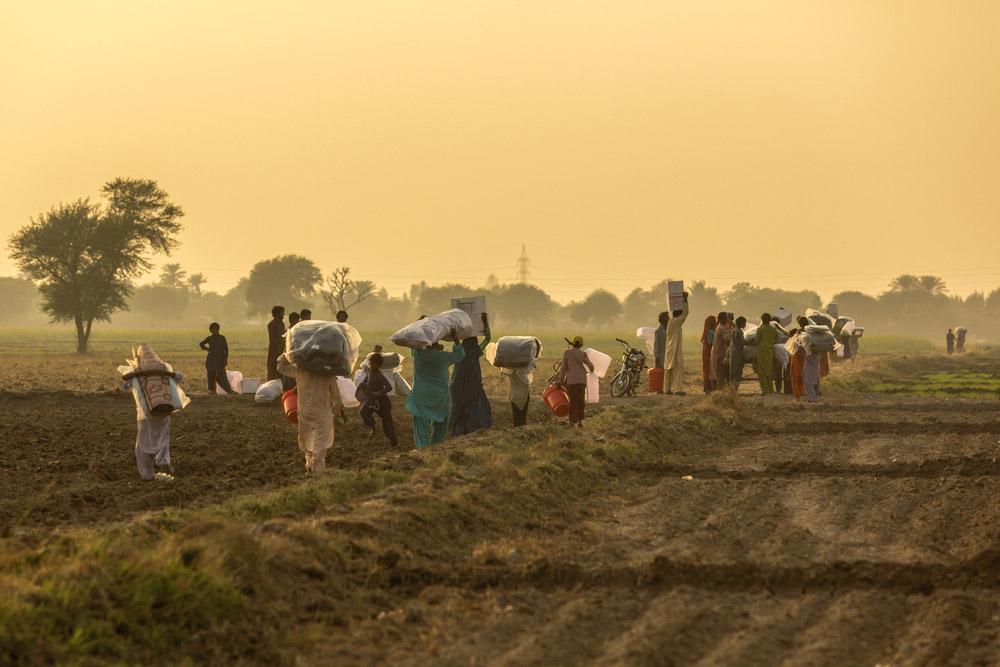 MSF, Doctors Without Borders, A year in pictures 2023, Pakistan