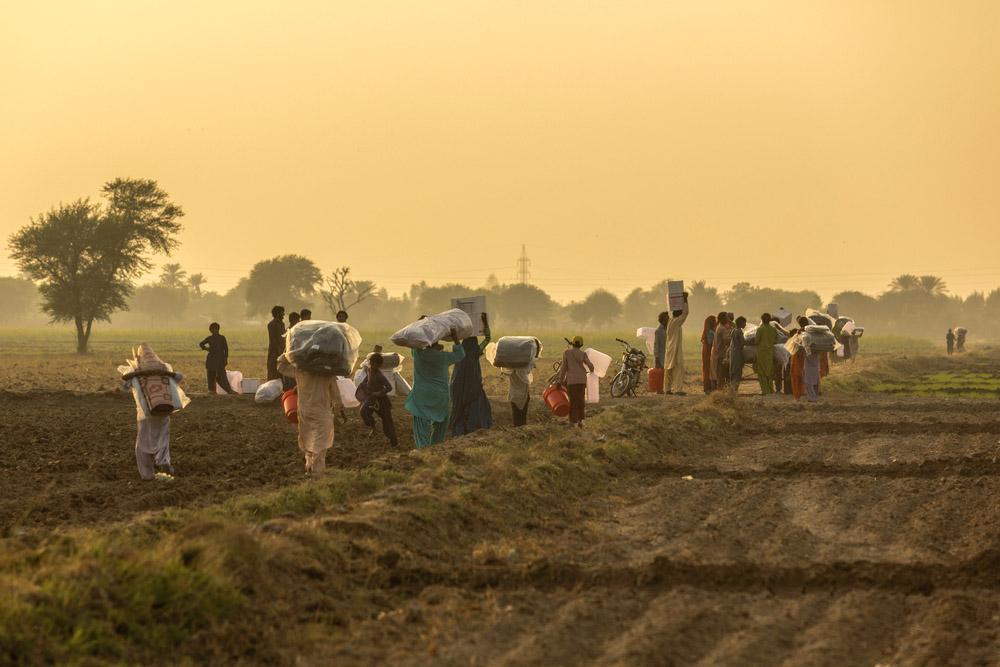 MSF, Doctors Without Borders, A year in pictures 2023, Pakistan 