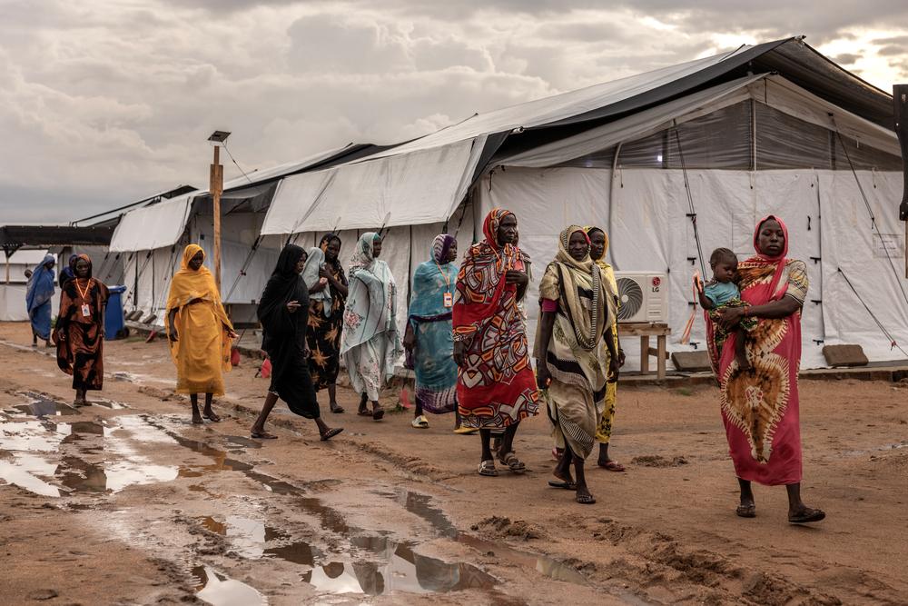 Doctors Without Borders, MSF, Sexual and gender based violence