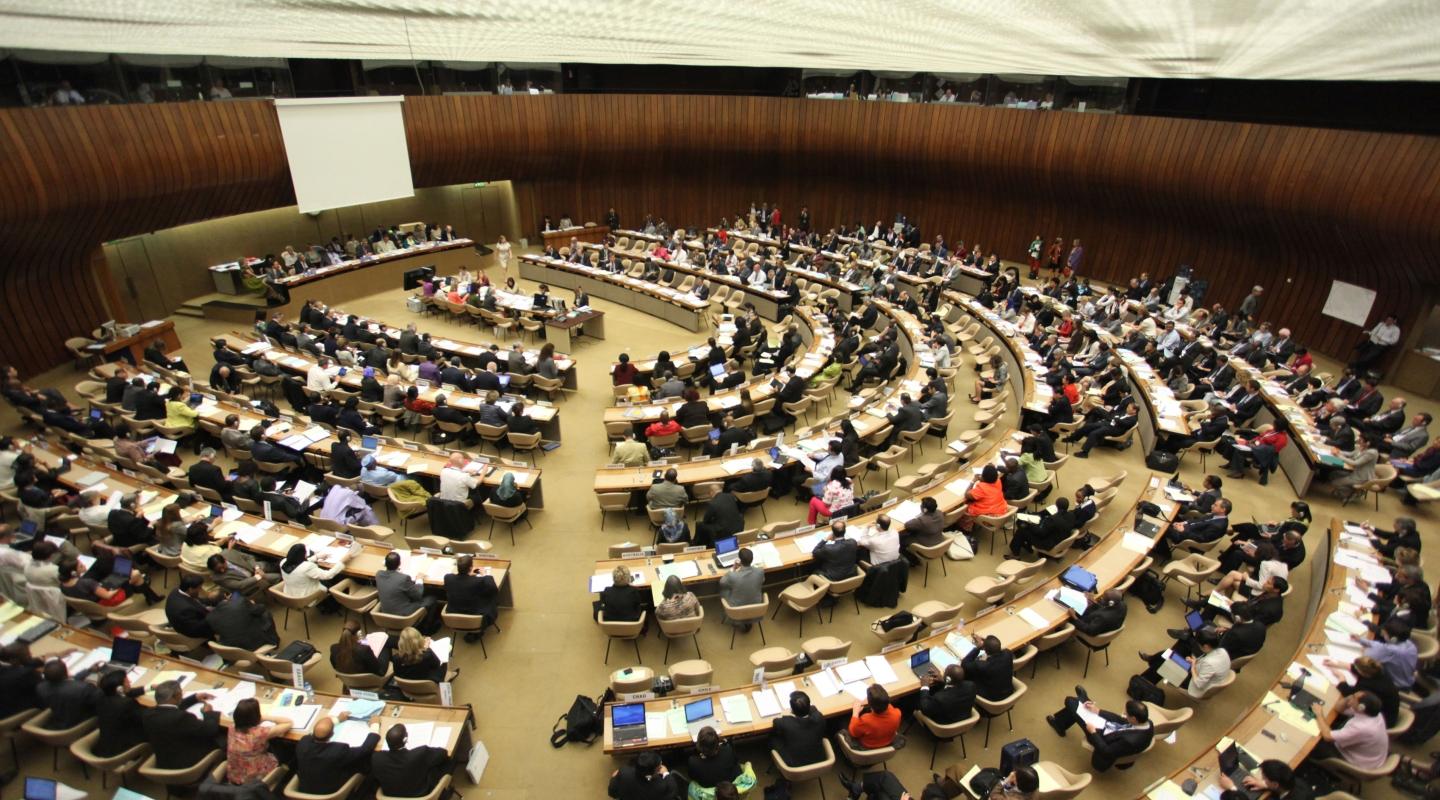 MSF, Doctors Without Borders, 77th World Health Assembly, 
