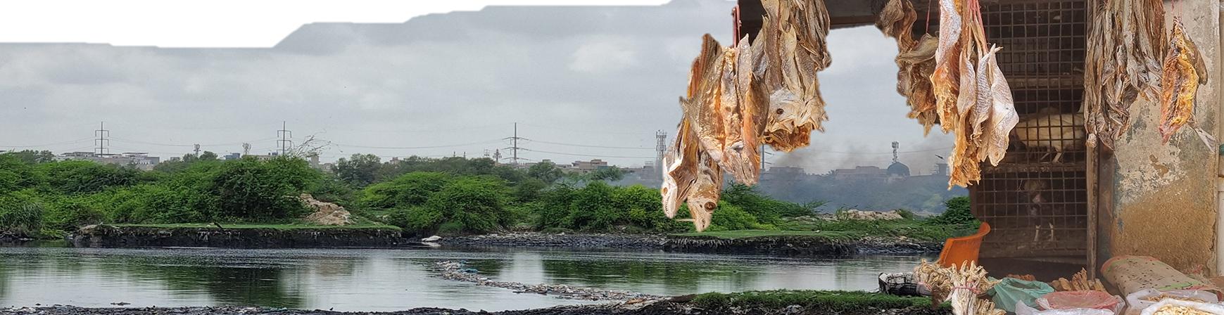 Machar Colony, Karachi