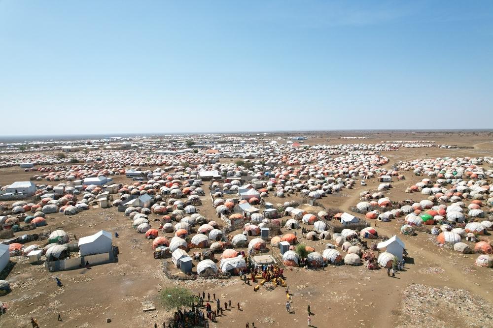 Baidoa child malnutrition survey
