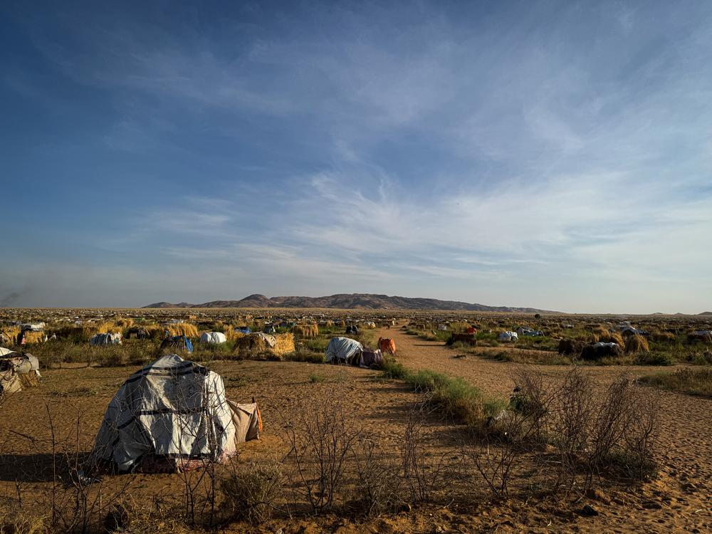 MSF, Doctors Without Borders, Displaced in El Fasher, Sudan 