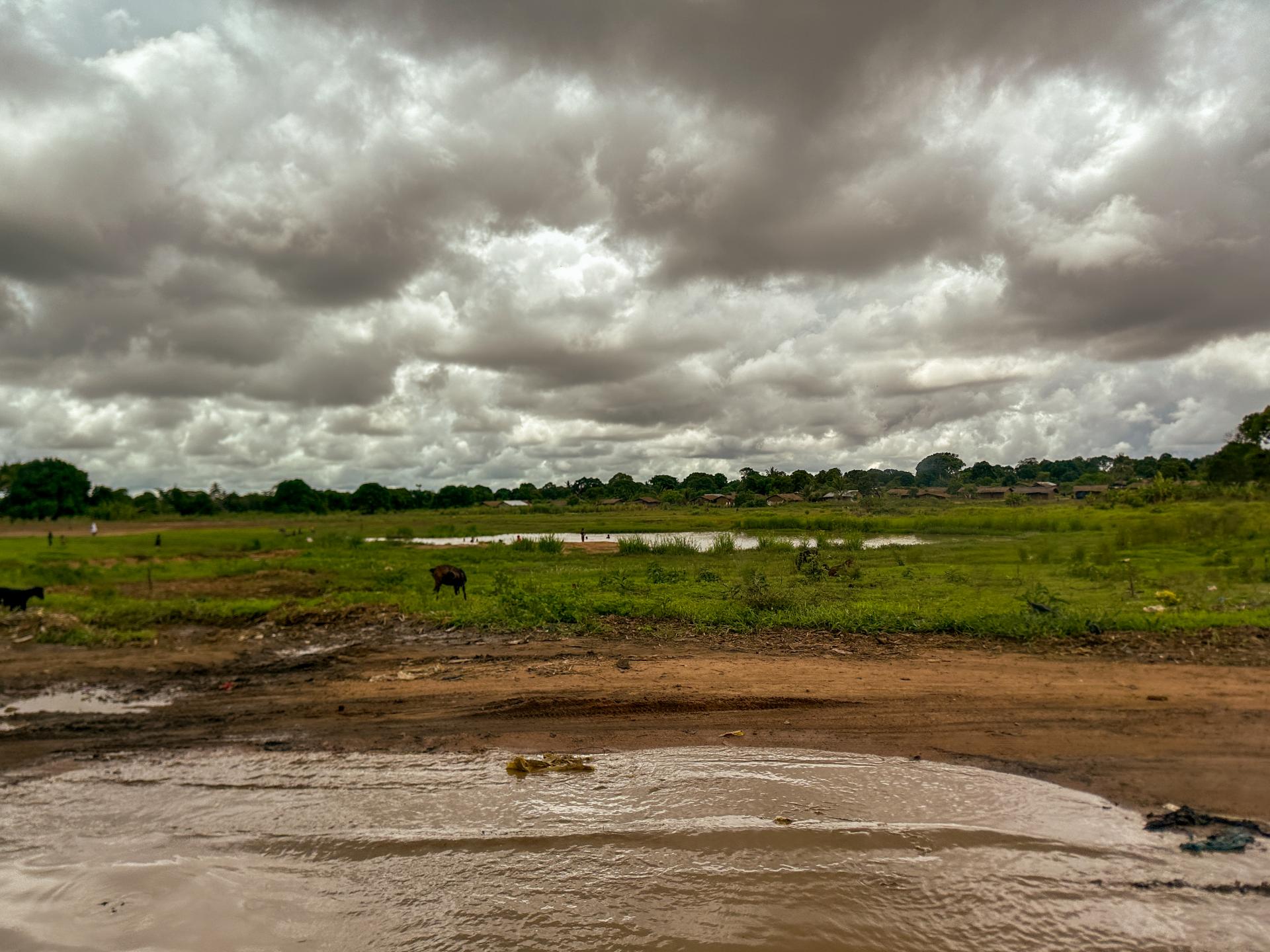 MSF_ Doctors Without Borders Mozambique