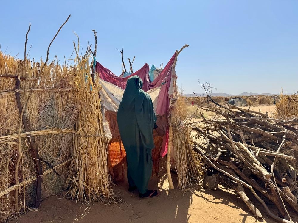 Doctors Without Borders (MSF)_Surviving sexual violence in Darfur
