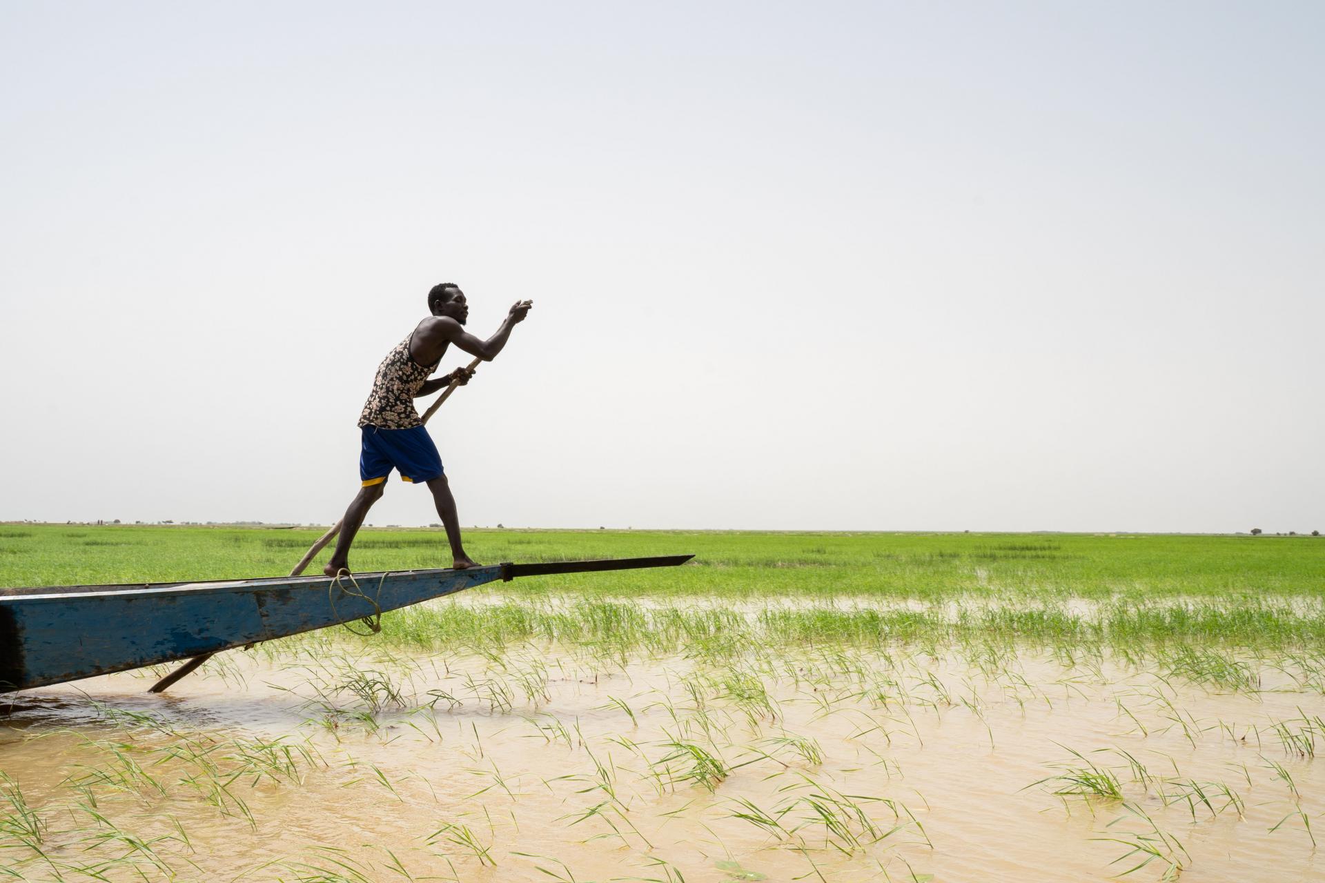 A boatman crossing the Niger river in Timbuktu region, Mali. 