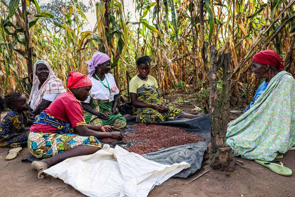 MSF, Doctors Without Borders, Mozambique, challenge of a safe pregnancy and childbirth in Cabo Delgado