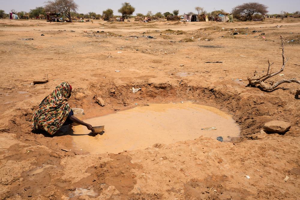 Doctors Without Borders, MSF, Refugees in Chad