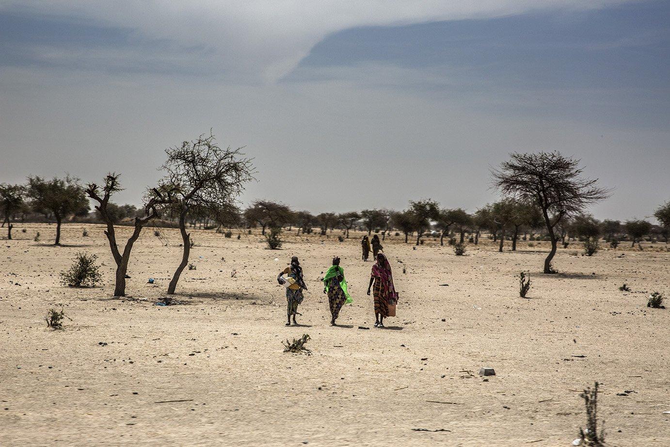 Mental healthcare in Lake Chad | MSF Medical & Humanitarian Aid