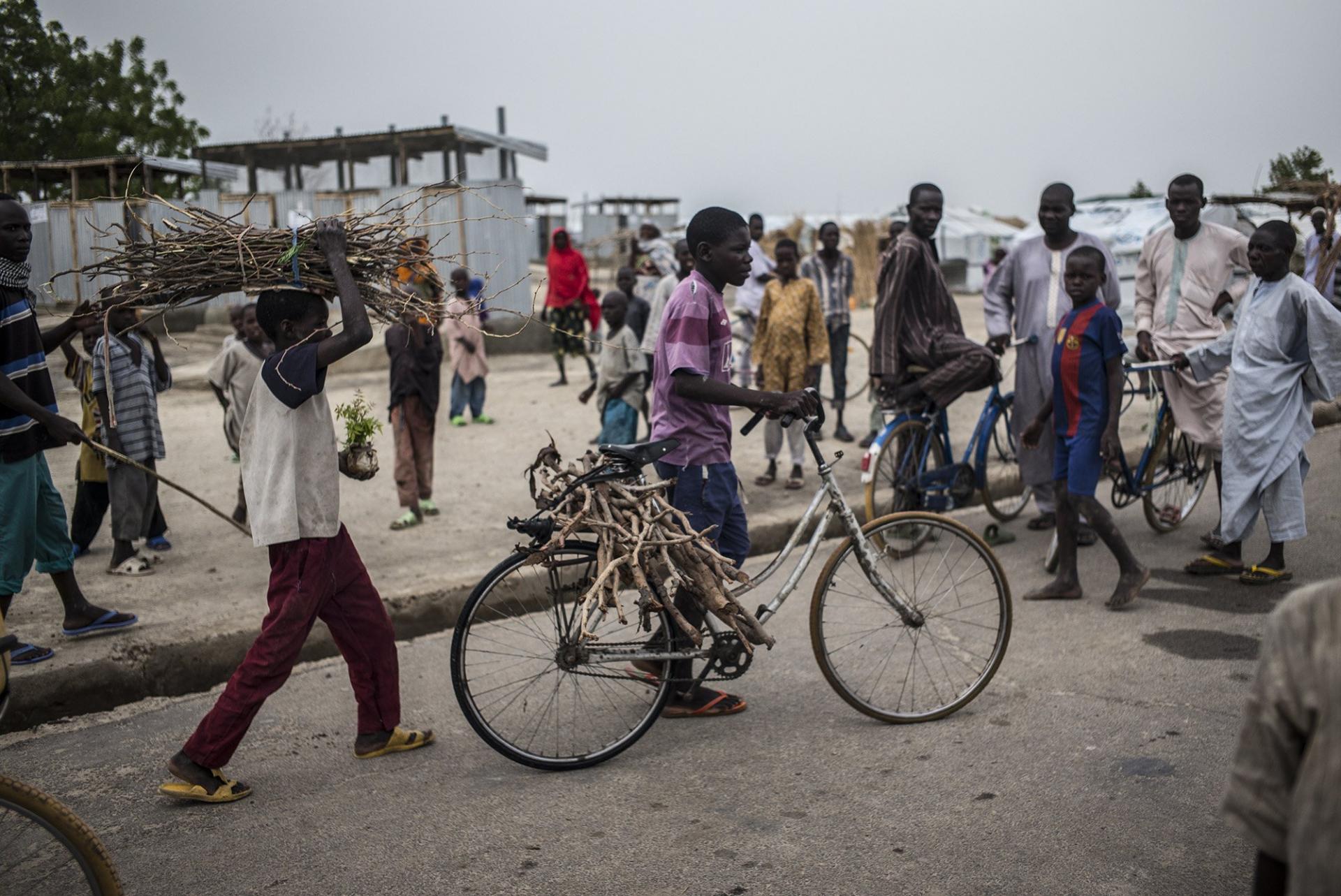 MSF_Nigeria_Borno_State