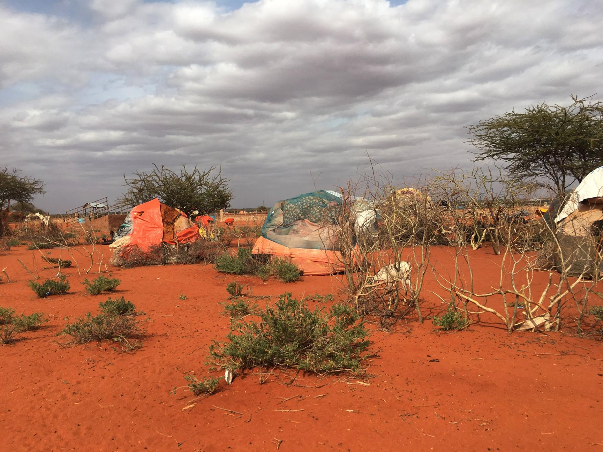 Ethiopia, drought