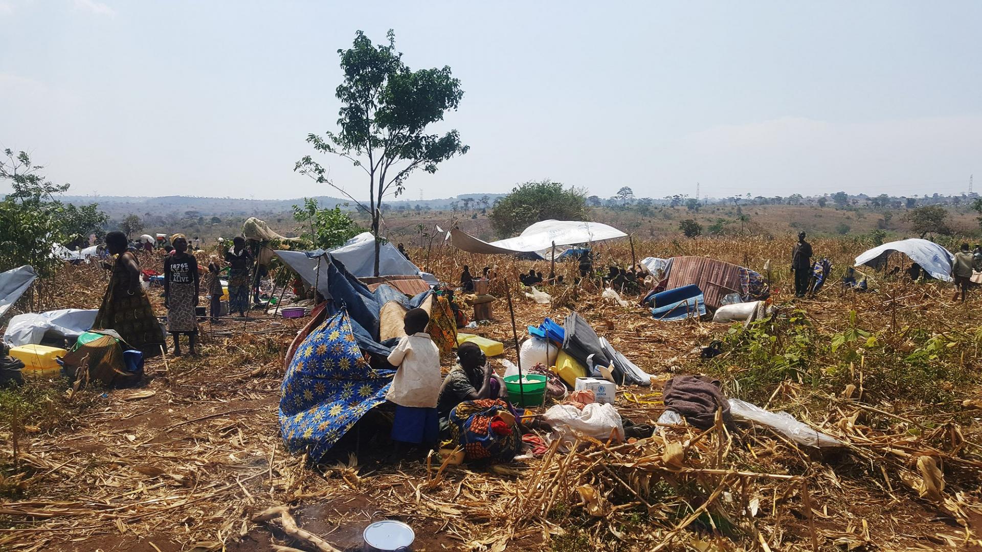 MSF, Uganda, IDPs