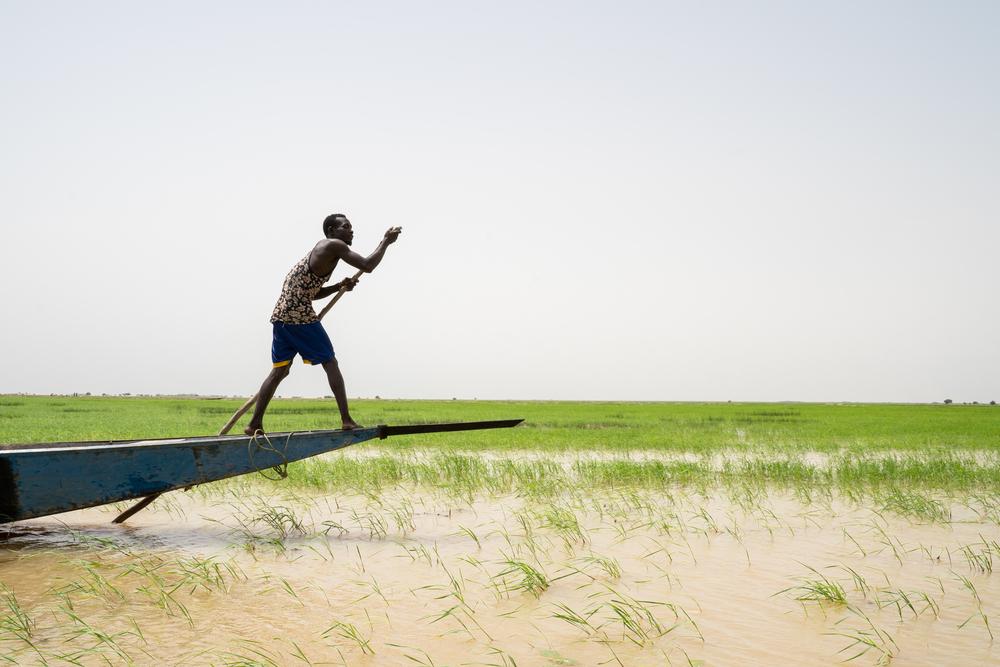 MSF, Doctors Without Borders, measles vaccination, Mali