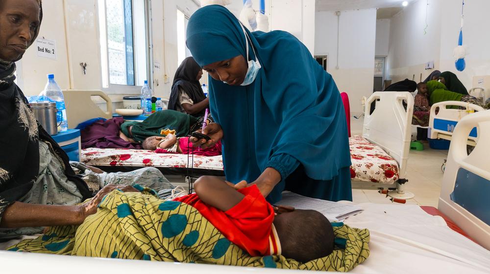 Baidoa child malnutrition survey