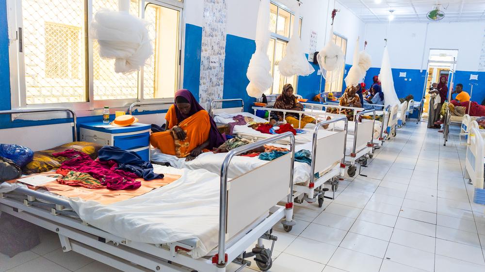 Baidoa child malnutrition survey