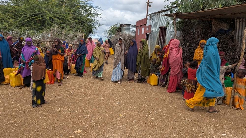 Baidoa child malnutrition survey