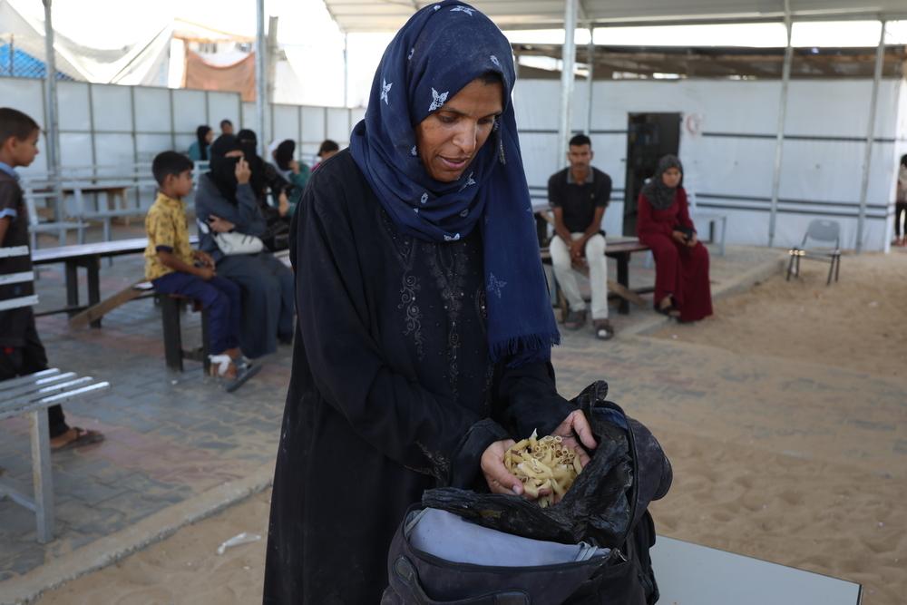 Doctors Without Borders, MSF, Conflict in Gaza