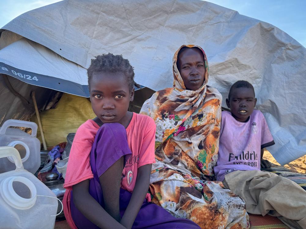 MSF, Doctors Without Borders, Displaced in El Fasher, Sudan 