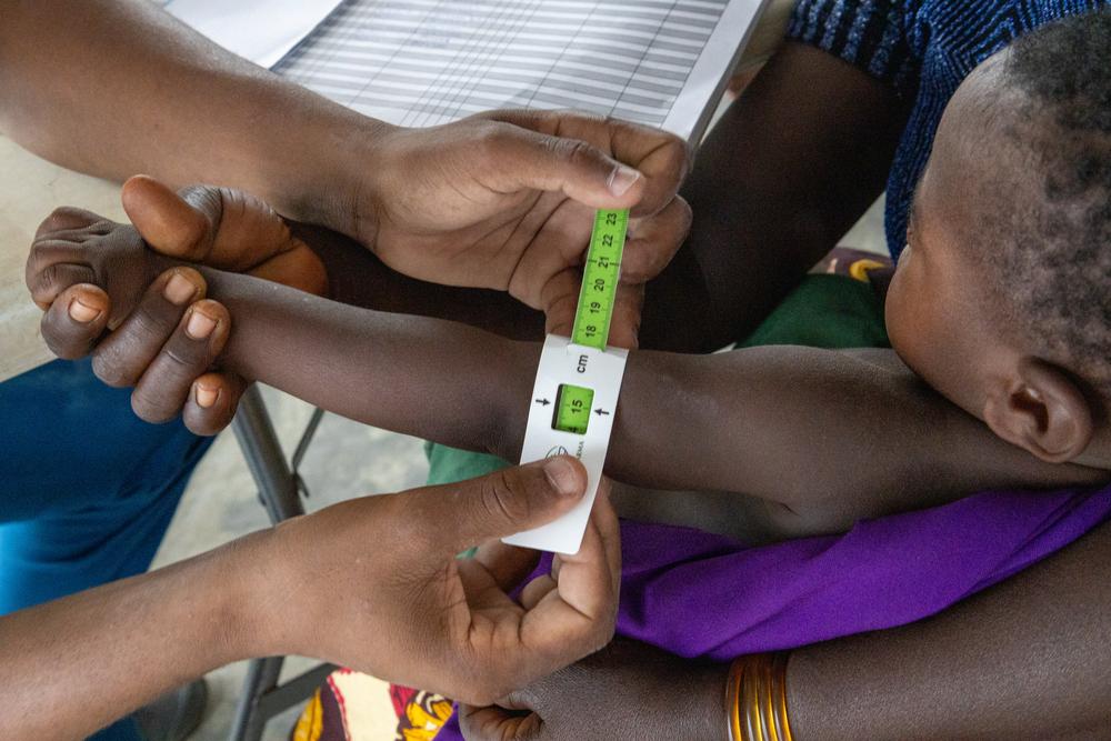 Doctors Without Borders, MSF, Displacement in Chad