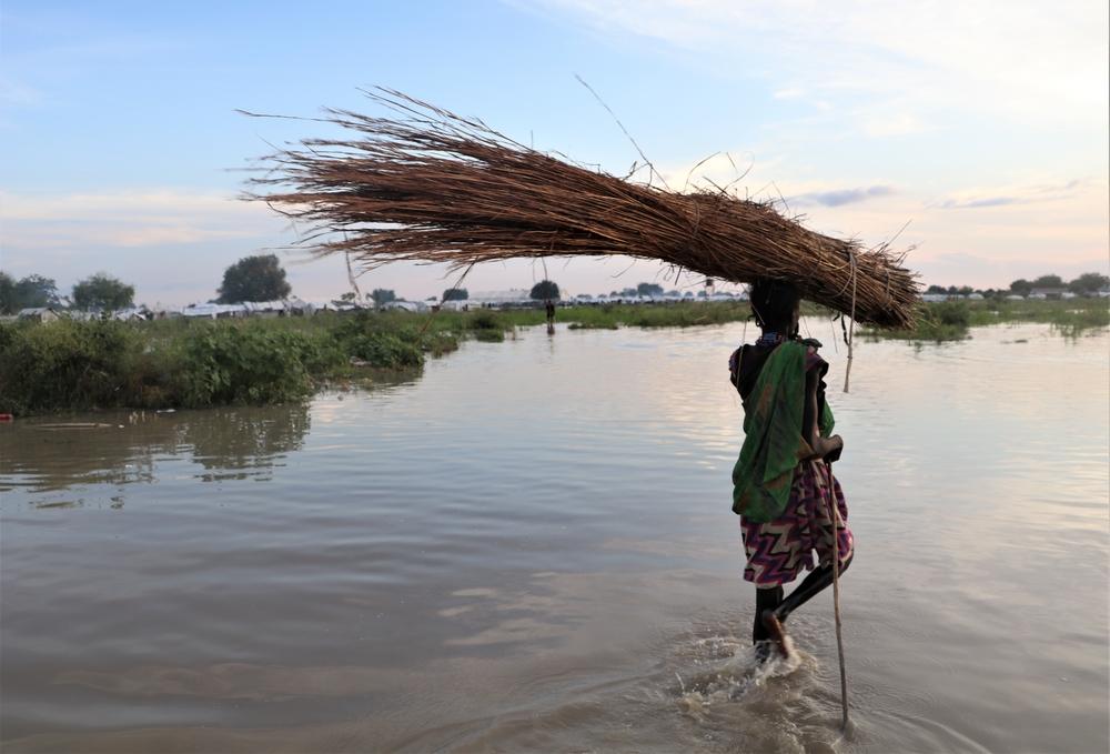 A woman carrying tree branches across the water in Pibor town, South Sudan