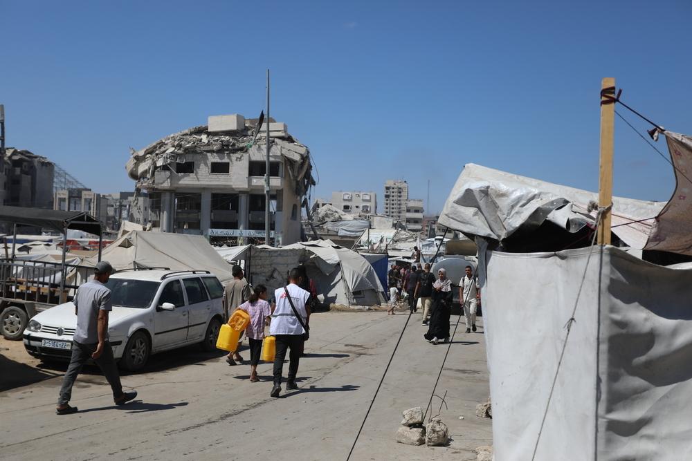 MSF, Doctors Without Borders, Gaza post ceasefire, medical evacuations needed