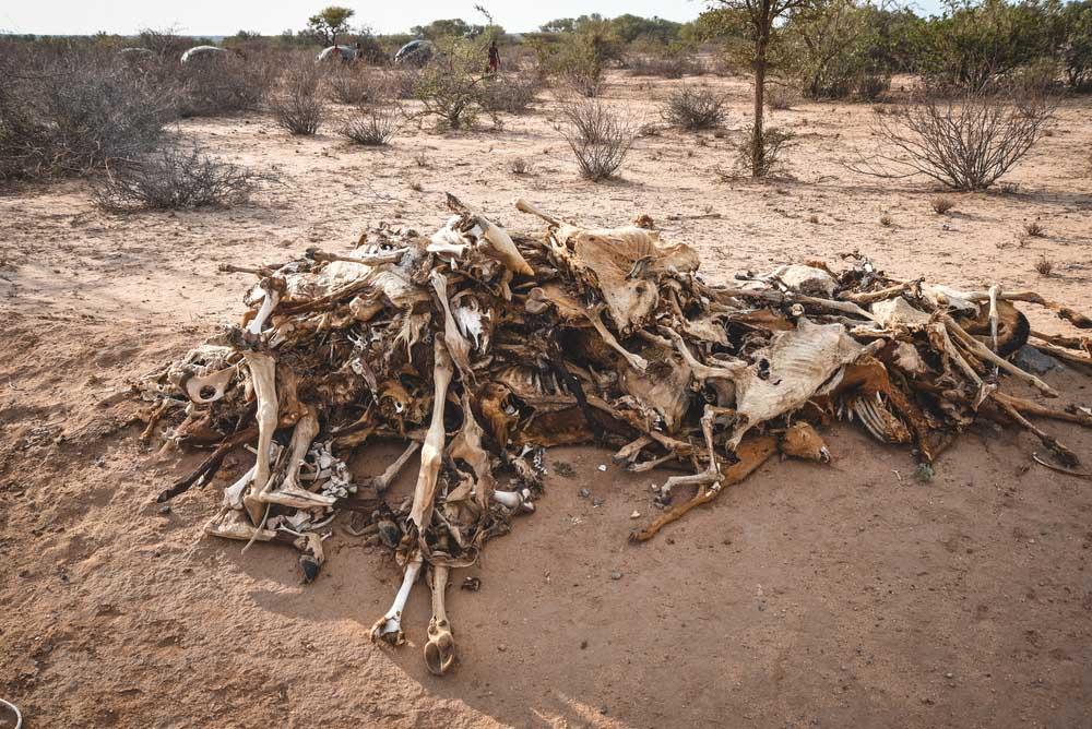 MSF, Doctors Without Borders, Kenya, Malnutrition crisis