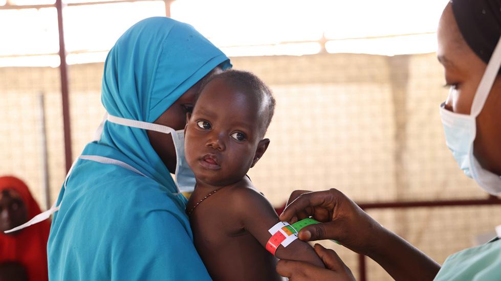 Borno_state_malnutrition