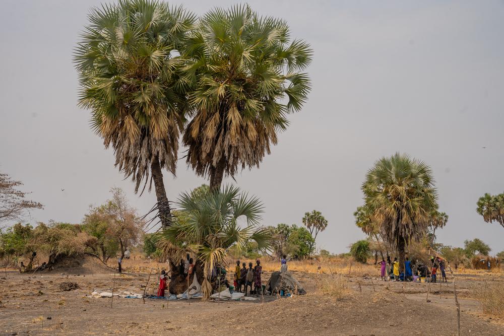 Doctors Without Borders (MSF)_South Sudan Attacks