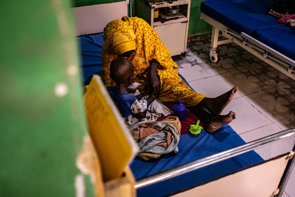 Sudan healthcare funding cuts
