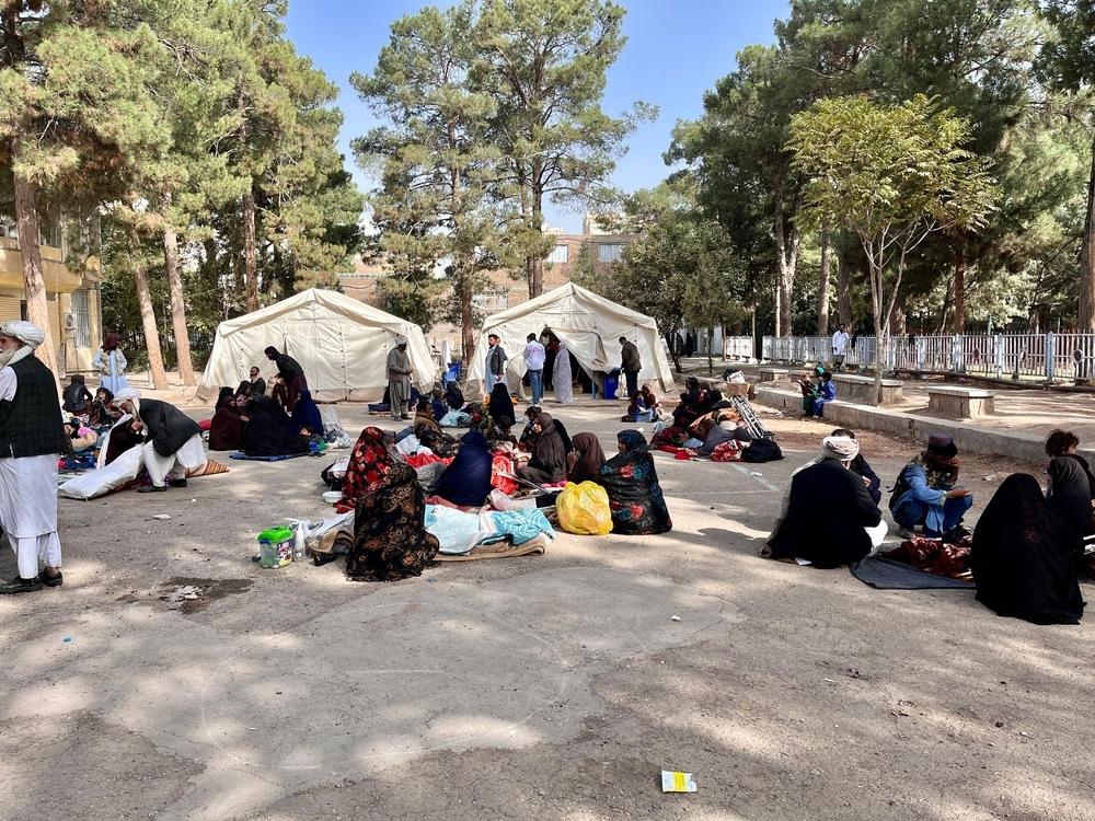 MSF, Herat earthquake victims in tents, Afghanistan.