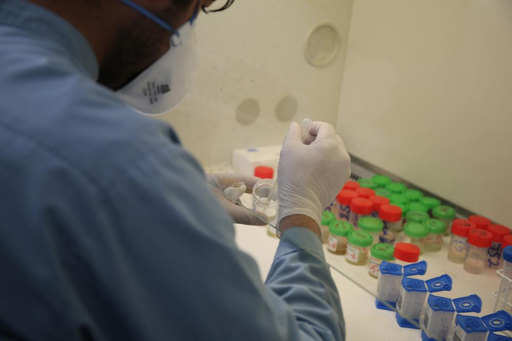 MSF technician tests samples in the laboratory