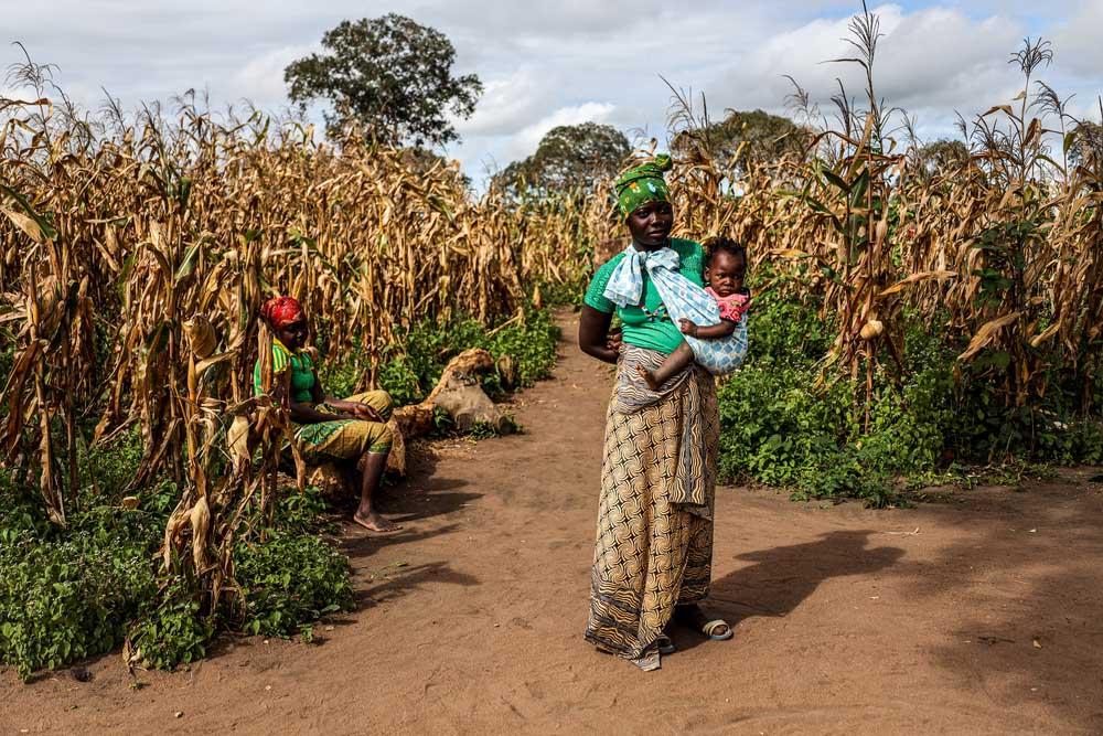 MSF, Doctors Without Borders, Mozambique, challenge of a safe pregnancy and childbirth in Cabo Delgado