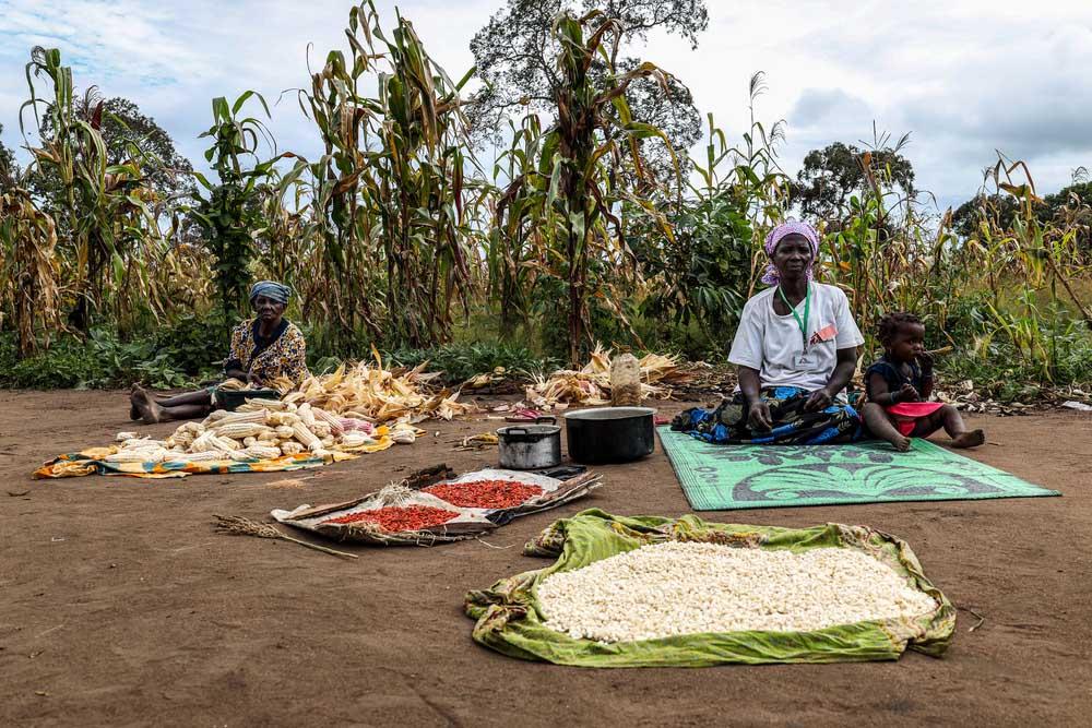 MSF, Doctors Without Borders, Mozambique, Conflict in Cabo Delgado