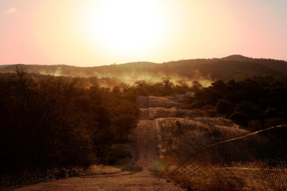 A picture of the border fence at the buffer zone between South Africa and Zimbabwe located in Musina, South Africa.