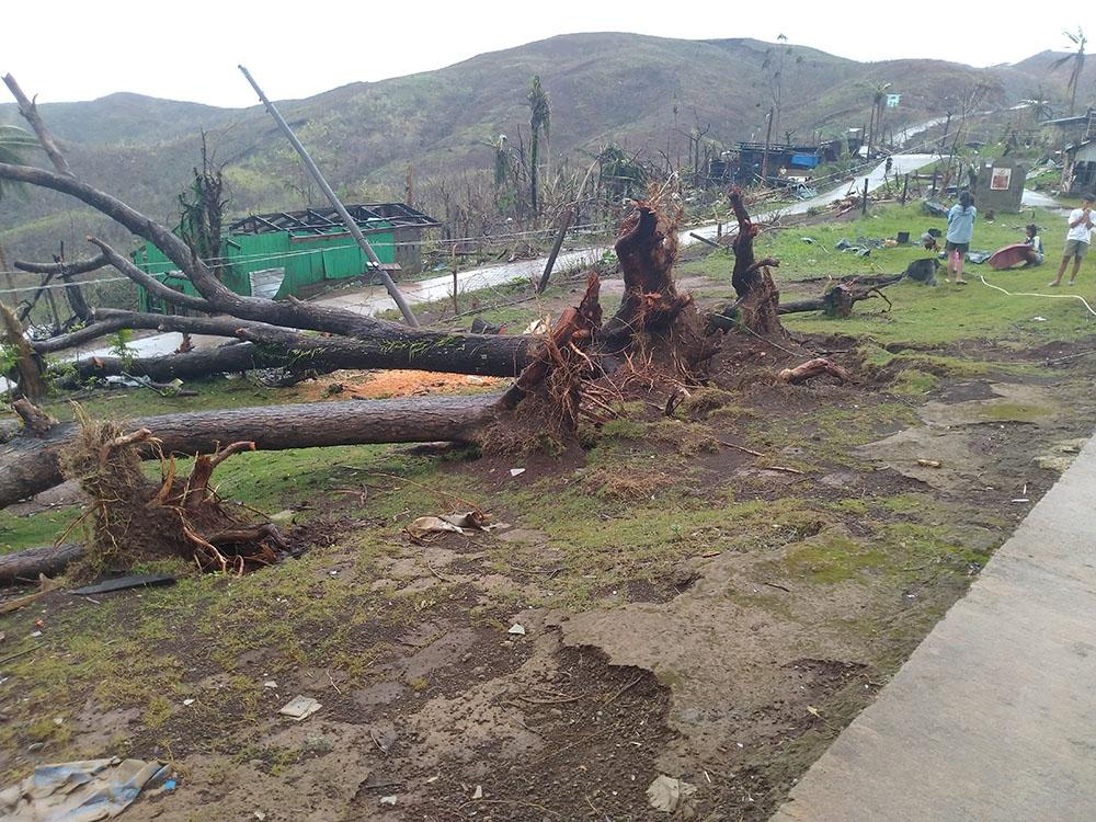 Dinagat Islands: Typhoon Rai packed winds strong enough to uproot trees all over the province.