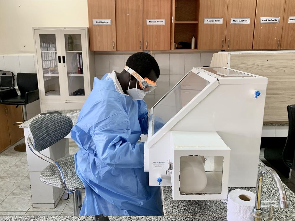 Technician looking at specimen in lab