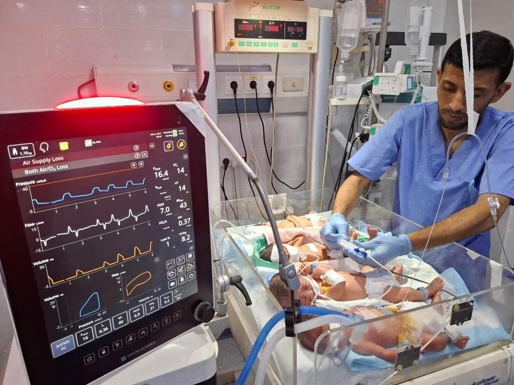 MSF, Doctors Without Borders, Starvation in Gaza 