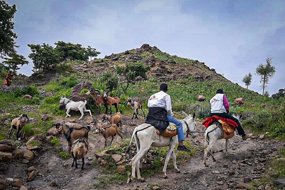 Healthcare on Donkeys in Sudna