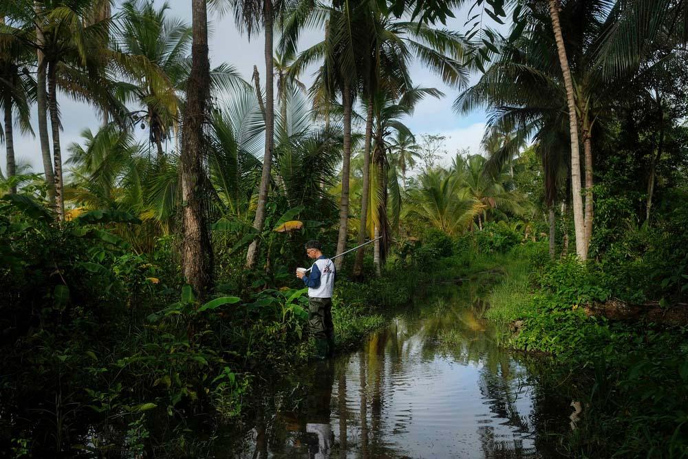 MSF, Doctors Without Borders, Venezuela, studying mosquitoes to help bring down malaria