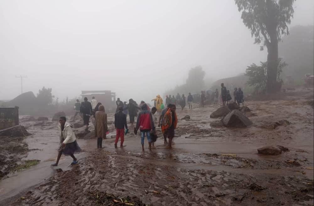 MSF, Doctors without borders, Cyclone Freddy