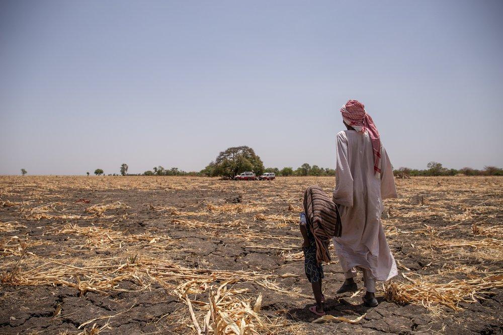 Msf268967 Year In Pictures 2019 Chad