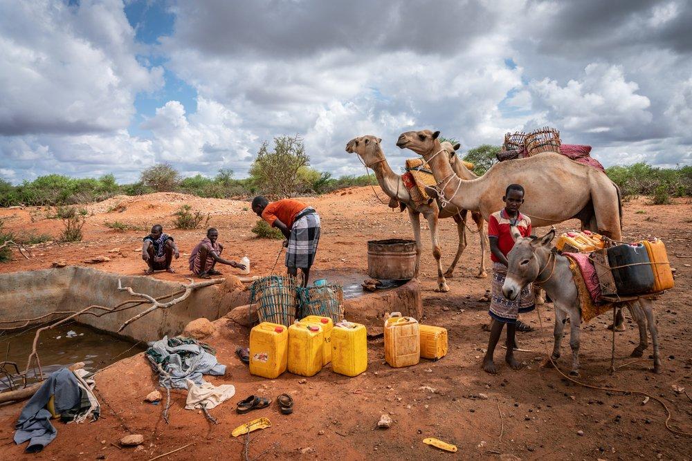Msf293803 Year In Pictures 2019