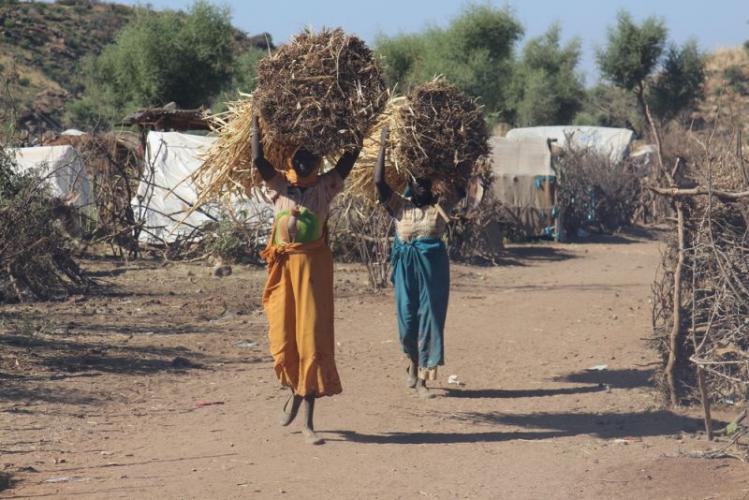 Sortoni Darfur