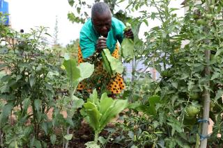 MSF, Doctors Without Borders, Zimbabwe, Environmental Health Hub
