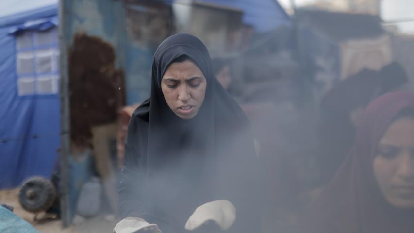 MSG, Doctors Without Borders, Displaced in Gaza