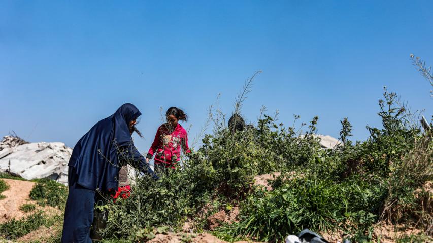 MSF, Doctors Without Borders, Displacement in Gaza