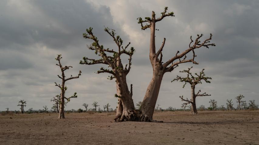 MSF, Doctors Without Borders, health impacts of climate change