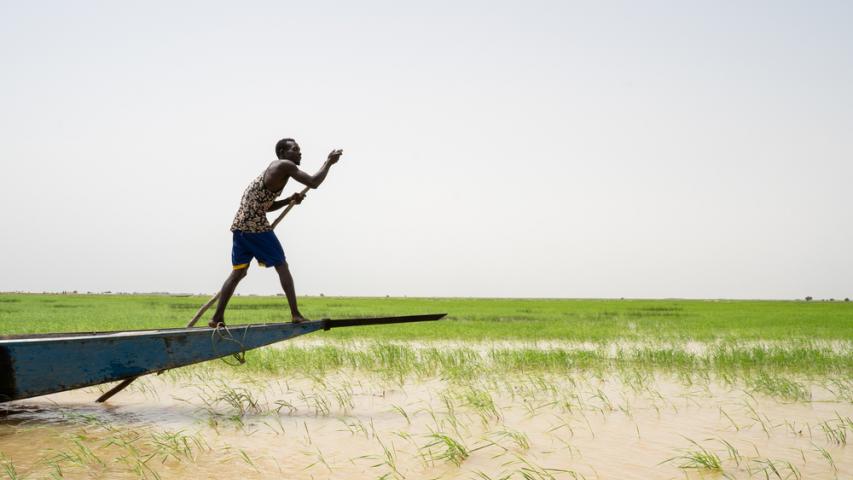 MSF, Doctors Without Borders, measles vaccination, Mali