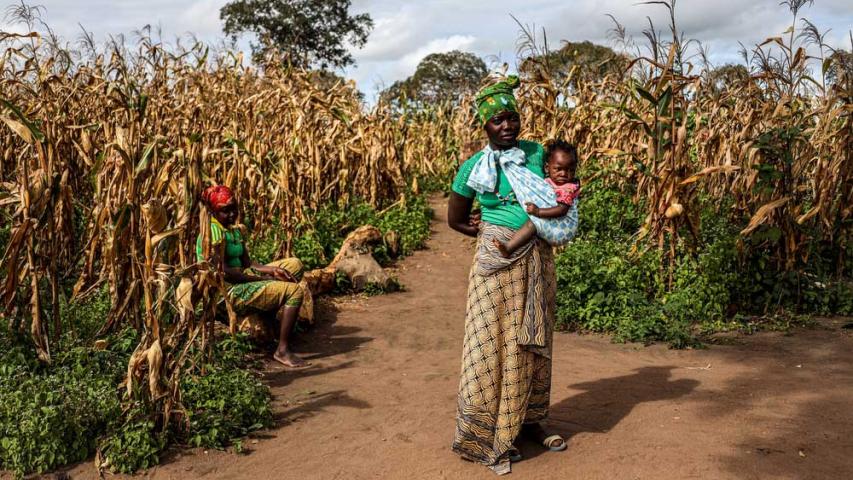 MSF, Doctors Without Borders, Mozambique, challenge of a safe pregnancy and childbirth in Cabo Delgado