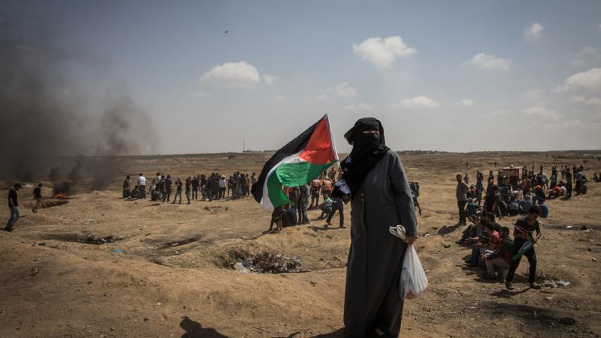 MSF, Doctors Without Borders, Gaza, Occupied Palestinian Territories 